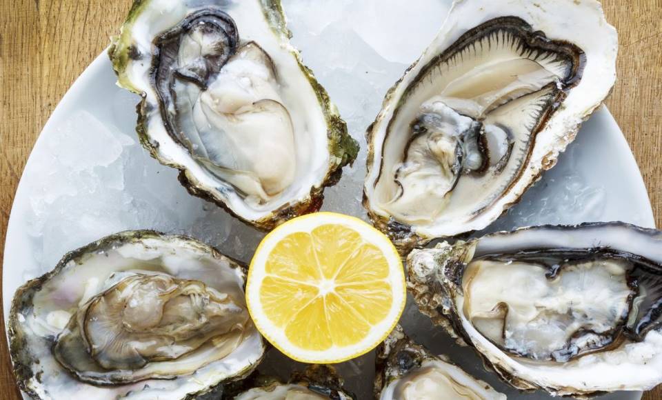 Avec les articles de coutellerie TB, mangez des huîtres ou dégustez un plateau de fruits de mer selon vos envies !