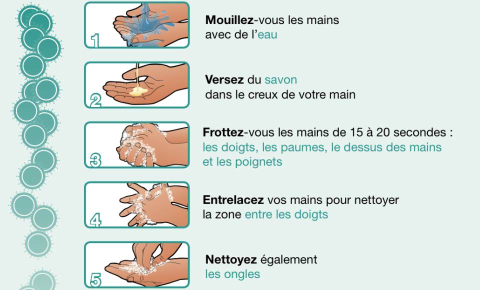 Hygiène alimentaire et couteaux : la contamination bactérienne progresse dans nos cuisines ! 