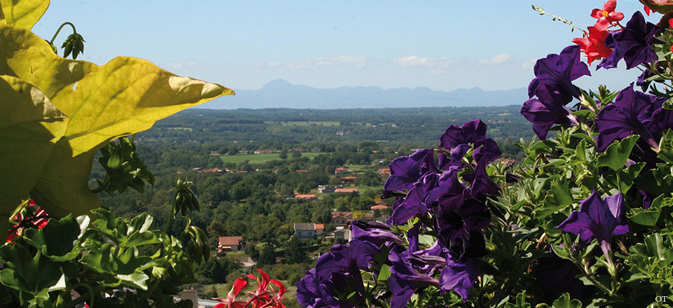 Thiers - Ville fleurie