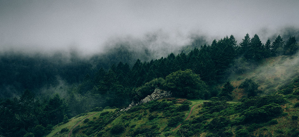 TB Groupe: The knife manufacturer who respects the environment